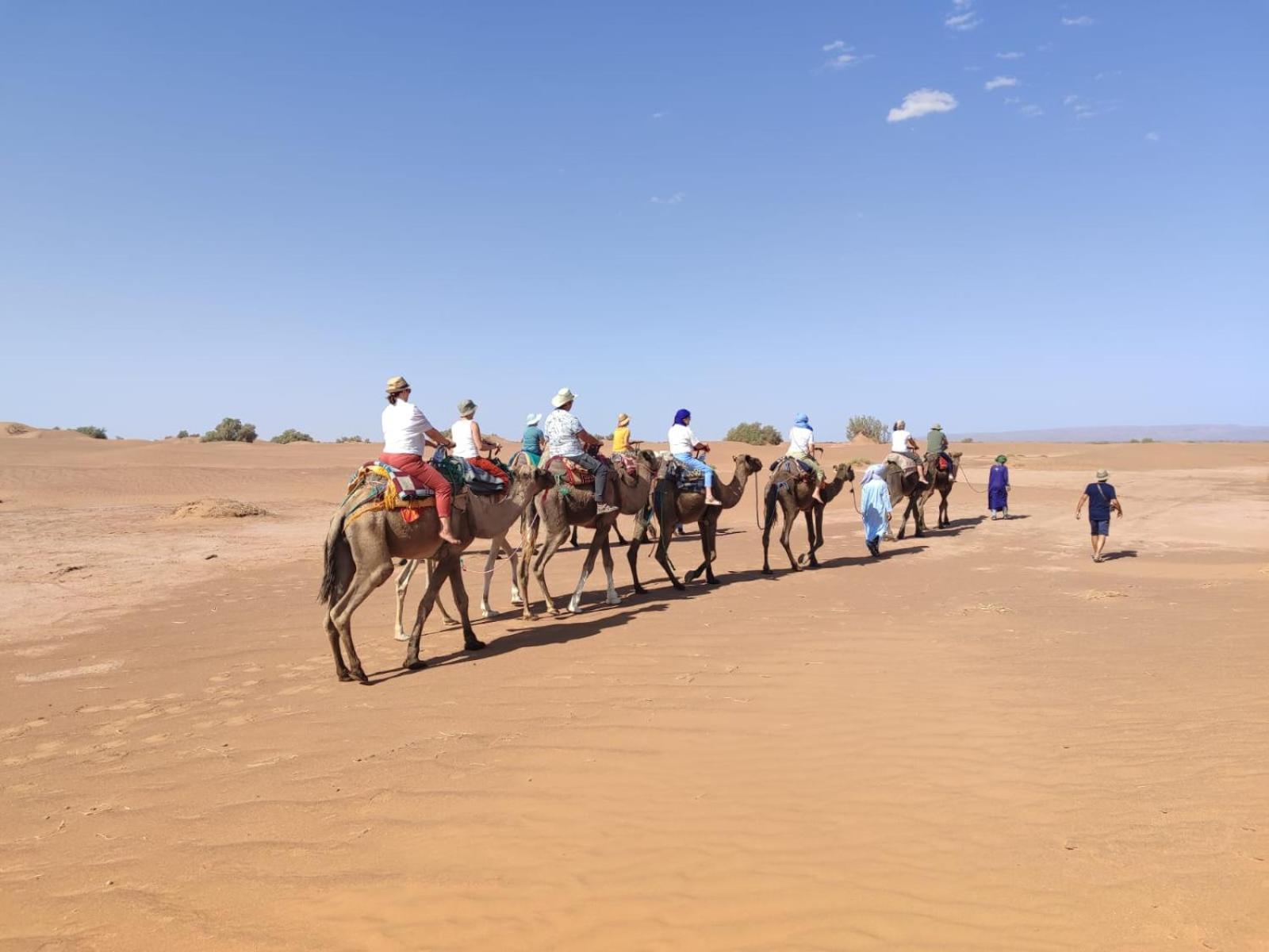 Desert Bivouac Mhamid Kültér fotó
