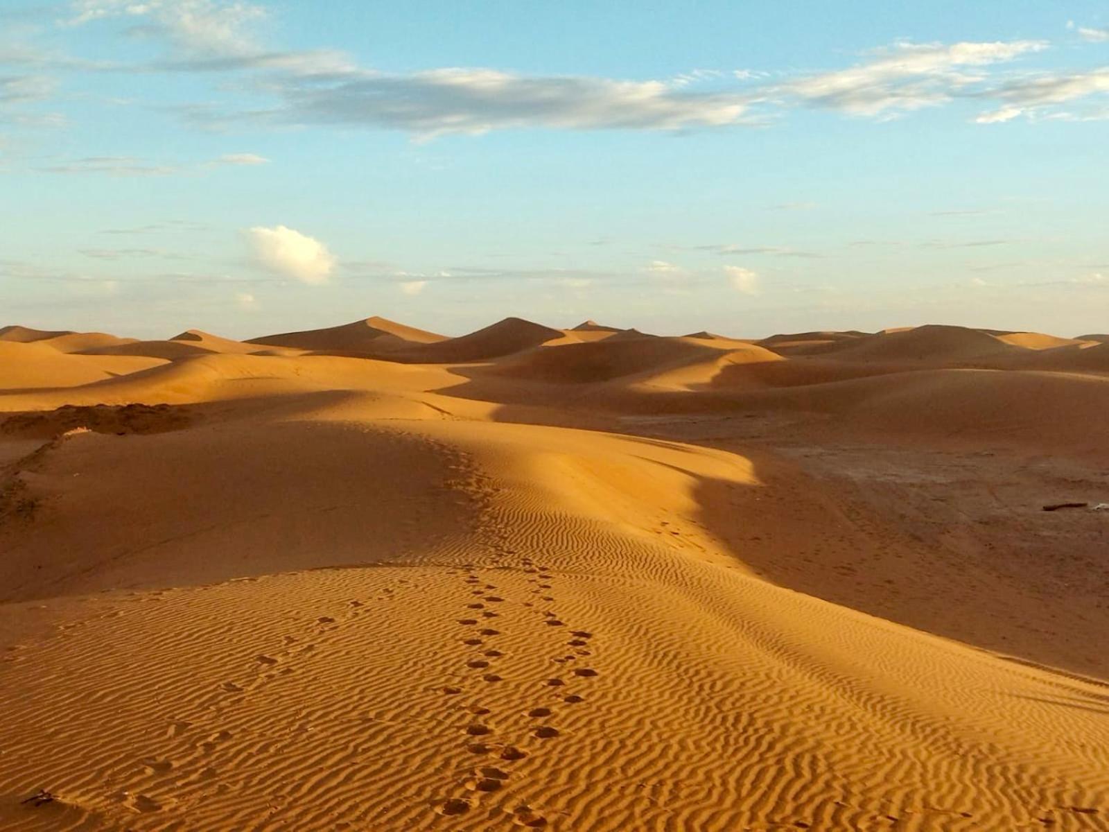 Desert Bivouac Mhamid Kültér fotó